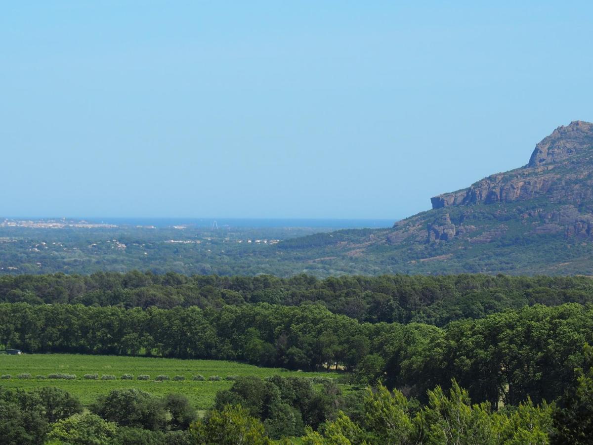 Domaine De La Borie Yourhosthelper Trans-en-Provence Esterno foto